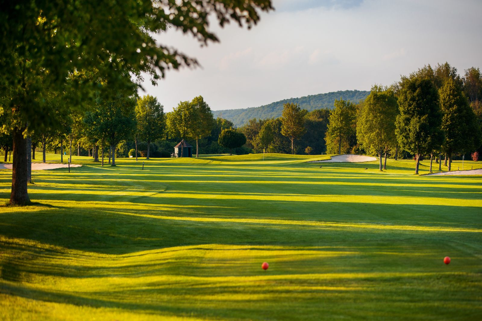 Fairway met bomen