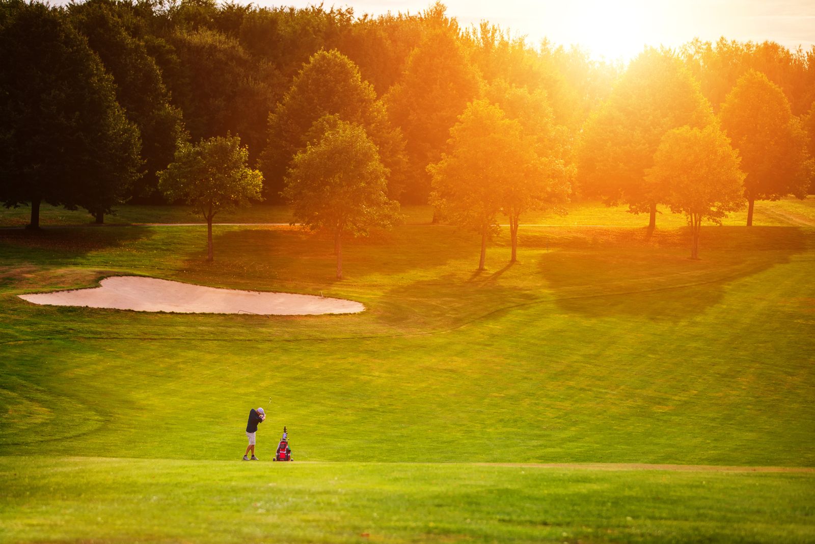 Golfster op de fairway in het avondlicht